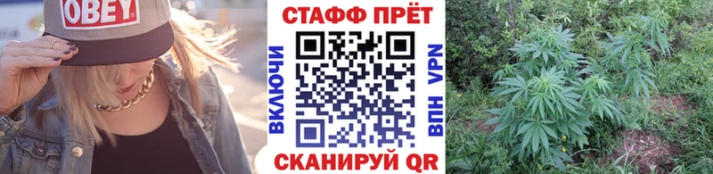 Наркотические вещества Тетюши Псилоцибиновые грибы blacksprut ссылки Меф ТГК ГАШ Марихуана Кокаин