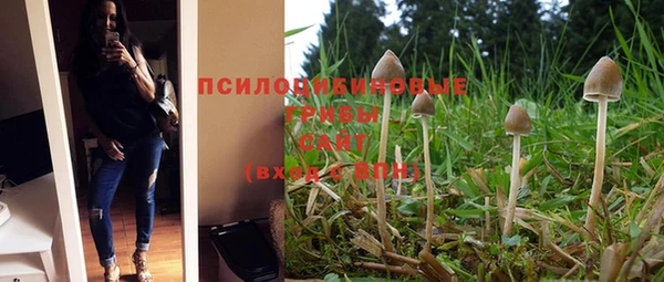 эйфоретик Нефтегорск