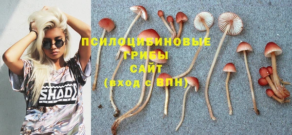 эйфоретик Нефтегорск